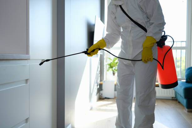 Home Mold Removal in Richmond, IN