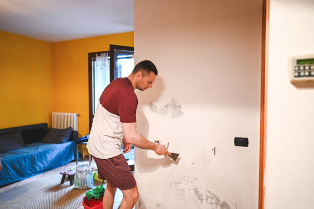 Best Mold Damage Repair  in Richmond, IN